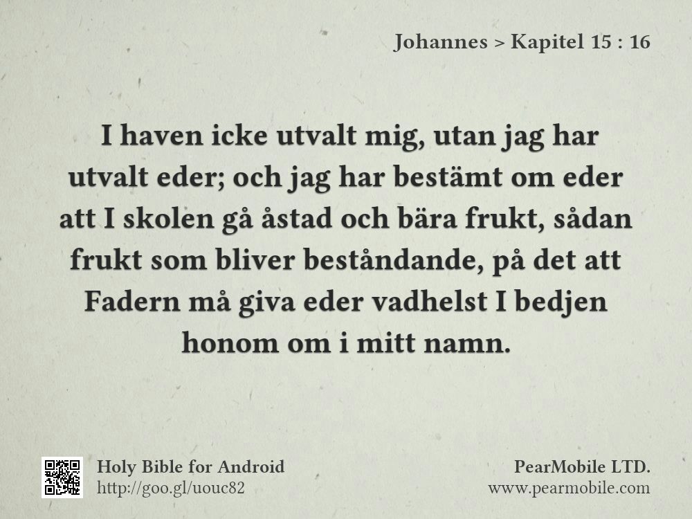 Johannes, Kapitel 15:16